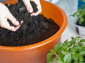 How Much Fertilizer per Square Foot for Vegetable Garden Is Needed