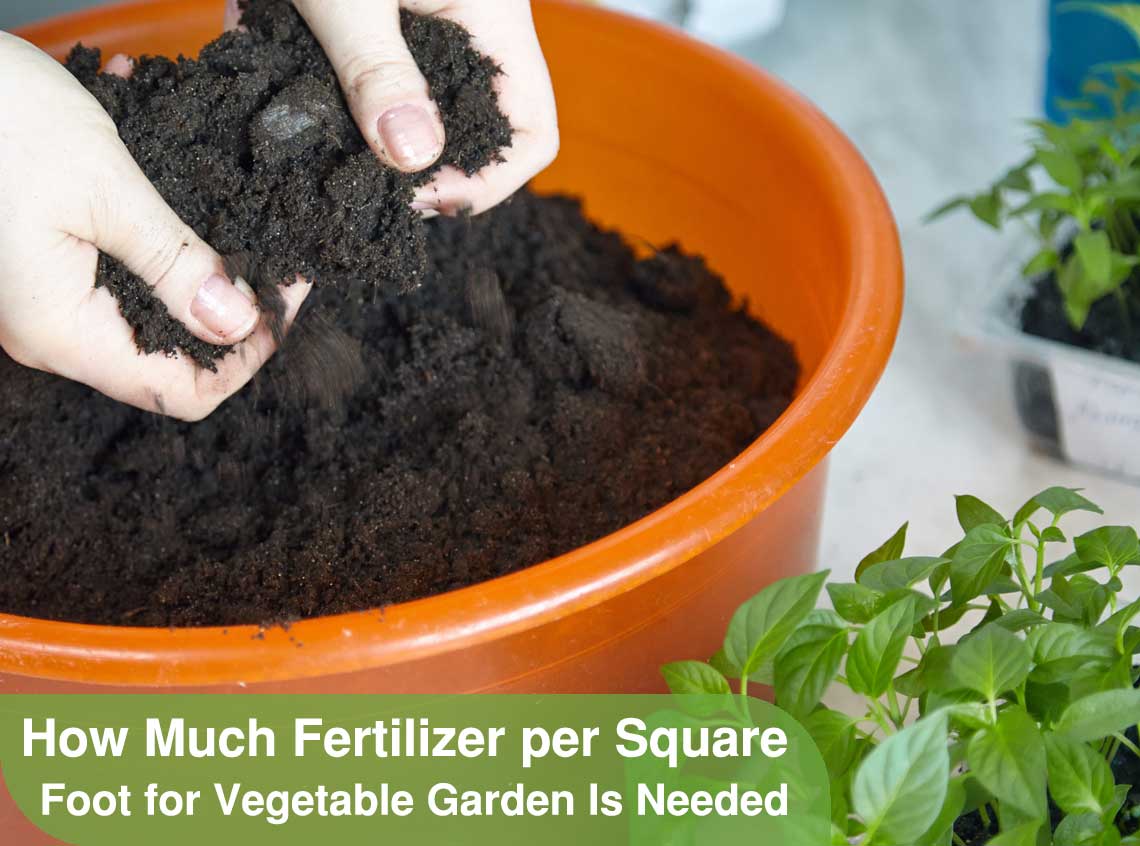 How Much Fertilizer per Square Foot for Vegetable Garden