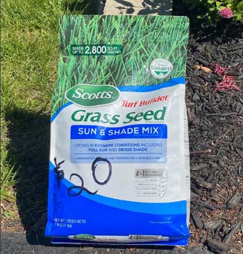 best sun and shade grass seed