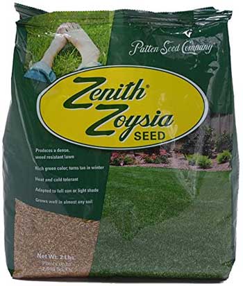 grass seed for sun and shade