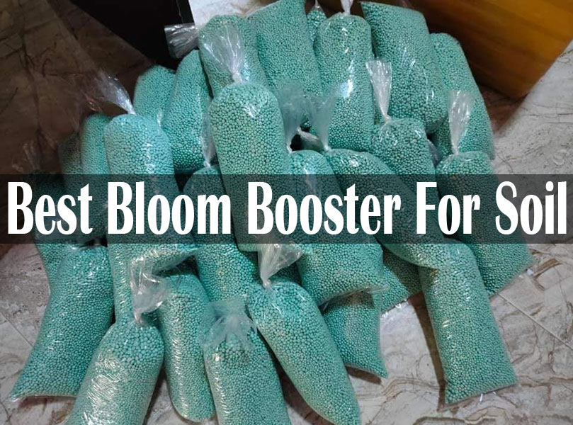 Best Bloom Booster For Soil