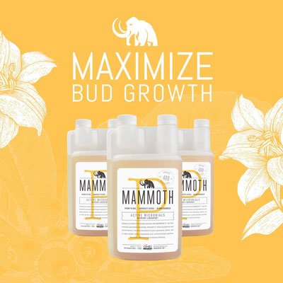 Mammoth Blooming Booster For Soil