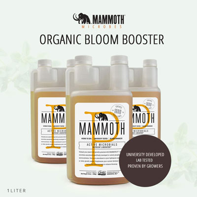 Mammoth Microbes Organic Bloom Booster