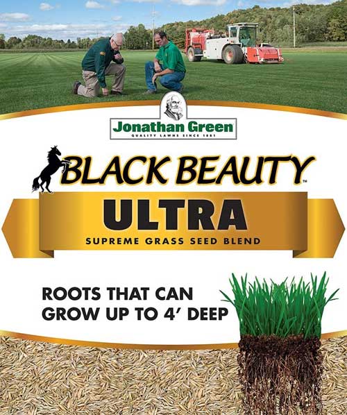 Jonathan Green 10322 Black Beauty Ultra Grass Seed Mix