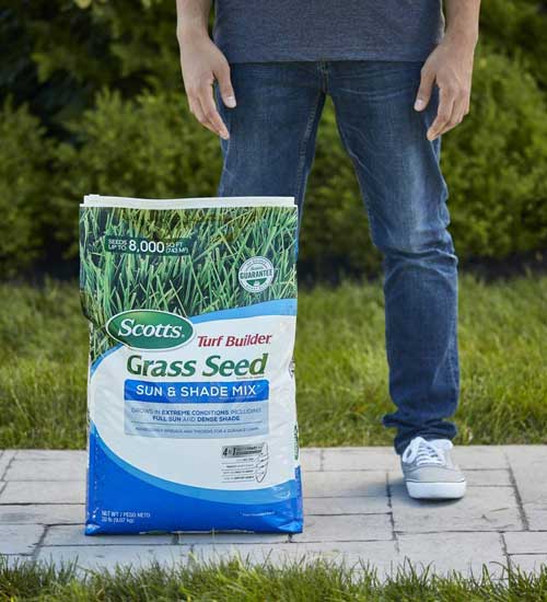 Scotts Turf Builder Clay Soil Grass Seed