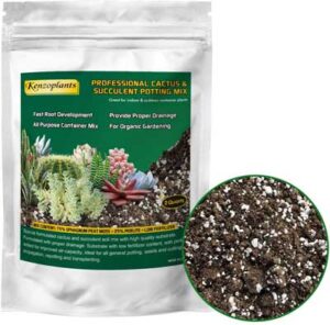 Kenzoplants Organic Succulents & Cactus Soil Mix