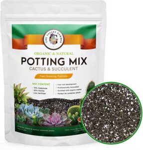 Organic Potting Soil for Aloe Plants