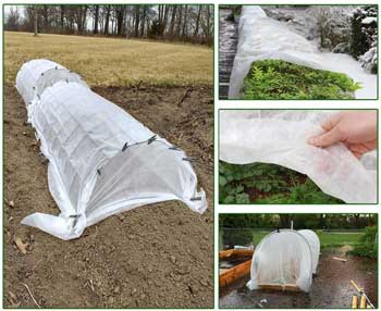 Gardaner Plant Cover For New Grass Seed