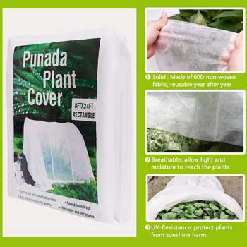 Punada Premium New Grass Seed Cover