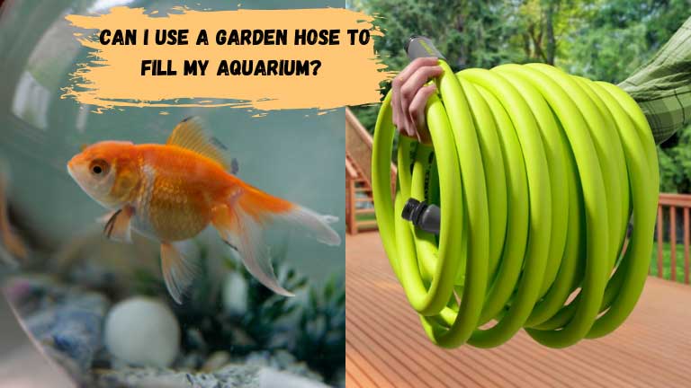 Can I Use A Garden Hose To Fill My Aquarium?