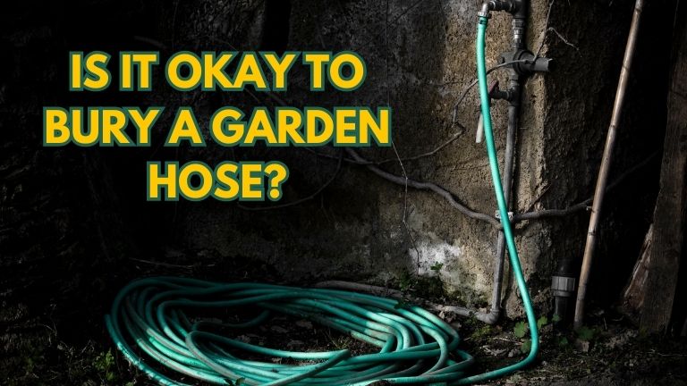 Is It Okay to Bury a Garden Hose?